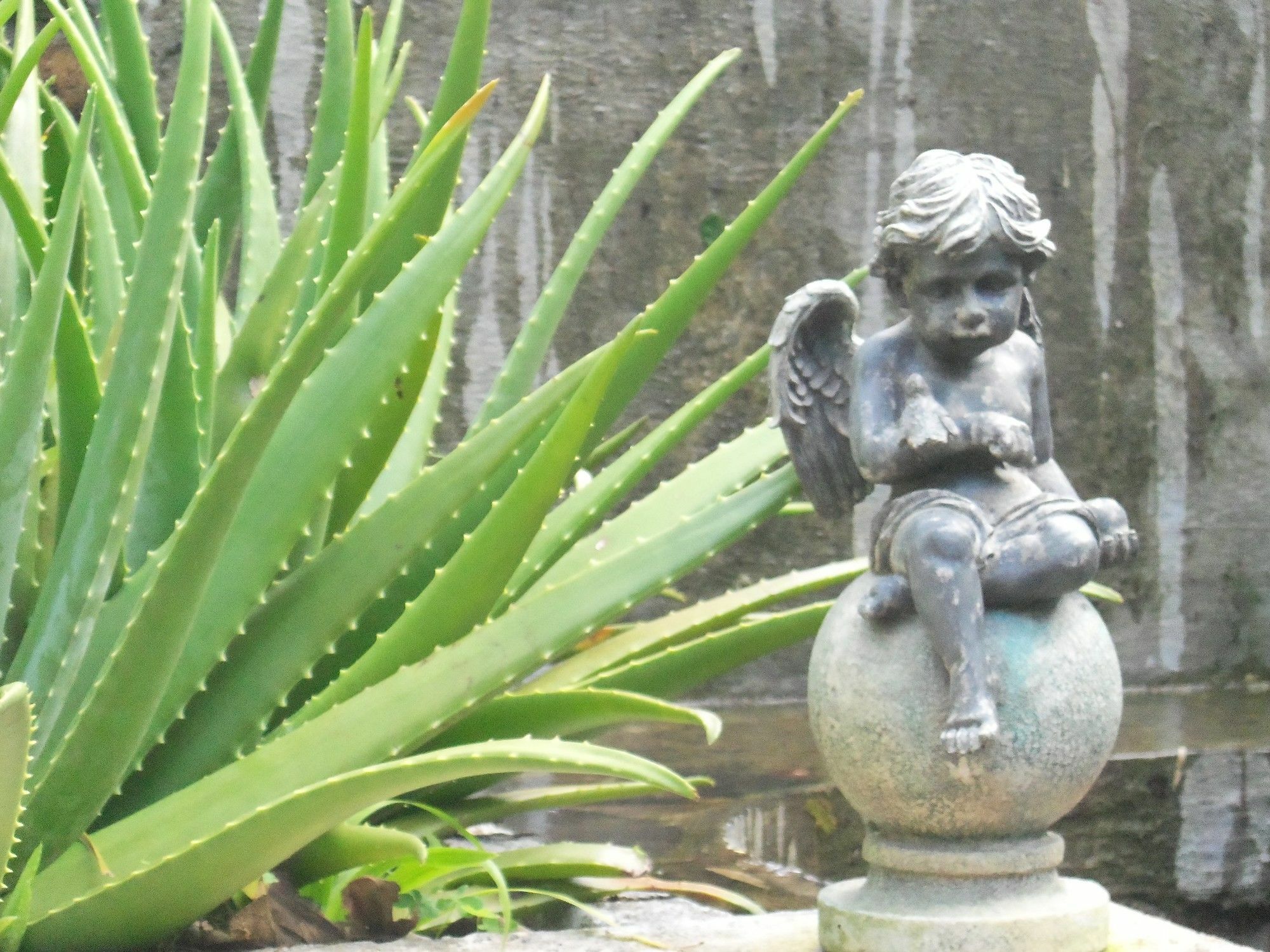 Selera Dunia Boutique Hotel Windward Side Exterior foto